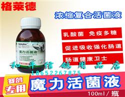 鸽饲料、鸽用品、鸽笼具企业展示展销平台_中国鸽业大全_中国信鸽信息网